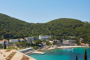 a town on a river with a mountain in the background at Apartments Silva in Dubrovnik