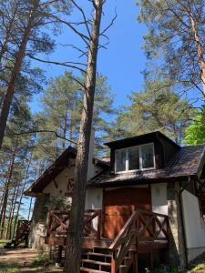 una cabaña en el bosque con un árbol en Domek wypoczynkowy w lesie nad jeziorem, en Ocypel