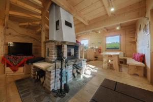 a living room with a fireplace in a log cabin at Alpejska Szarotka in Nowe Bystre