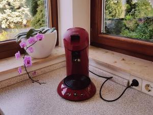 a red blender sitting on a counter next to a window at Die Ferienwohnung in Bad Bellingen