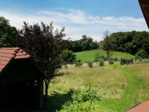 Gallery image of Vetrovi šumijo I in Kapele