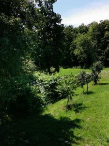 Gallery image of Vetrovi šumijo I in Kapele +41 photos