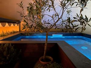 a plant in a pot next to a swimming pool at Relais 147 - Luxury b&b in Taormina