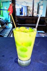 a drink with a bird sitting on top of a table at Pousada On Shore in Cabo Frio