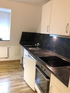 Kuchyň nebo kuchyňský kout v ubytování Haus Sonnenschein