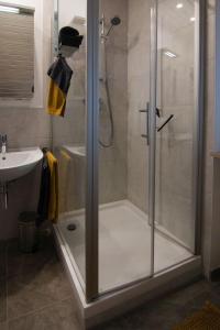 a shower with a glass door in a bathroom at Ferienwohnung Gehring Bad Krozingen in Bad Krozingen
