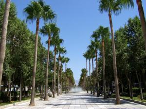 een rij palmbomen op een loopbrug bij Apartamento San Juan Bosco in Almería
