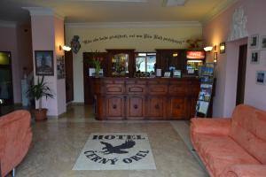 Ruang duduk di Hotel Černý Orel Žatec