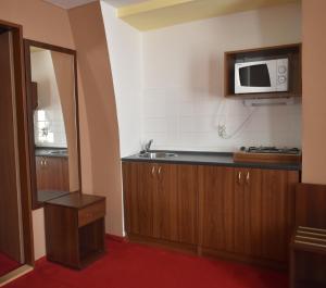 Dapur atau dapur kecil di Hotel Černý Orel Žatec