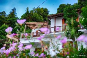 Zahrada ubytování Papa Nero Beach House