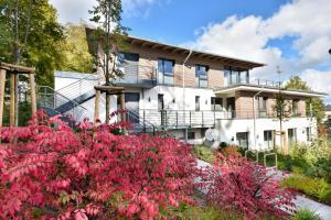 uma casa com flores cor-de-rosa em frente em Haus Seven Seas - Wohnung Pazifik em Heringsdorf