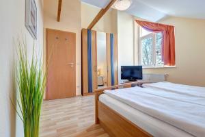 ein Schlafzimmer mit einem Bett, einem Fernseher und einem Fenster in der Unterkunft Ostseepark Karavelle 37 in Heringsdorf