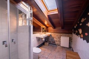 ein Badezimmer mit einem WC, einem Waschbecken und einem Dachfenster in der Unterkunft Txerturi-Goikoa in Itziar