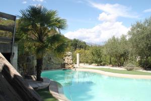 a large swimming pool with a palm tree next to it at Studio 30 m2 in Contes