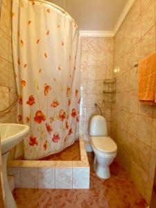 ゲレンジークにあるGuest House Na Chernigovskoyのバスルーム(トイレ、シャワーカーテン付)