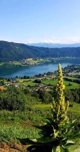 a view of a body of water from a mountain at Ferienwohnungen Claudia in Altossiach
