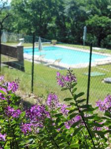 a fence with purple flowers in front of a swimming pool at La Fontaiola in Le Piazze