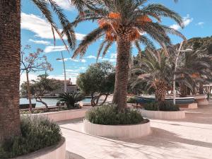 a group of palm trees in a park with water at Lux View in Petrovac na Moru