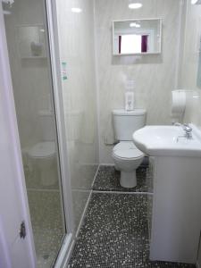 a bathroom with a toilet and a sink and a shower at Hilbre Hotel in Blackpool