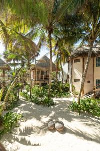 Zahrada ubytování Encantada Tulum