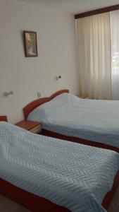 Легло или легла в стая в Семеен хотел Ирина
