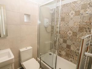 un bagno con doccia, WC e lavandino di Fir Tree Cottage a Criccieth