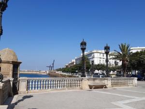 een straat met palmbomen en gebouwen en een rivier bij Ático Baños del Carmen in Cádiz