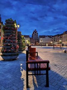 a bench in a square with a christmas tree at Apartament Centrum Bartoszyce in Bartoszyce