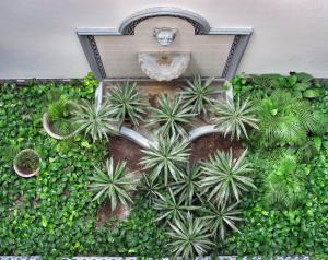 a garden with plants and a water fountain at Solar De La Plaza in Salta