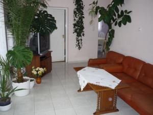 a living room with a couch and potted plants at Zsigmond Vendeghaz in Keszthely