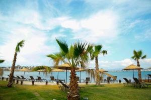a beach with chairs and palm trees and the ocean at Cunda Fora Glamping in Ayvalık