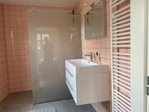 La salle de bains est pourvue d'un lavabo blanc et d'un miroir. dans l'établissement The Farmer's Daughter, à Venray