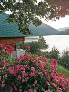 Paesaggio naturale nelle vicinanze del bed & breakfast