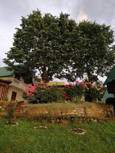 Giardino di B&B Konak