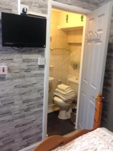ein Bad mit einem WC und einen TV an der Wand in der Unterkunft Sherwood Lodge in Skegness