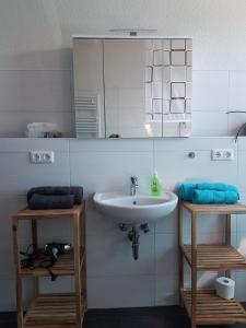 een badkamer met een wastafel en een spiegel bij Ferienwohnung am Kiessee in Breitungen