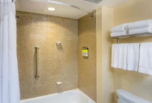 a bathroom with a shower, toilet and sink at Holiday Inn Express & Suites Bradenton East-Lakewood Ranch, an IHG Hotel in Bradenton