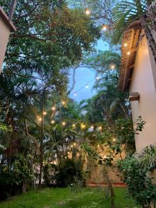 a view of a garden with trees and lights at Palmira Hostel in Tegucigalpa
