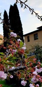 Ein Garten an der Unterkunft Hotel Via Roma