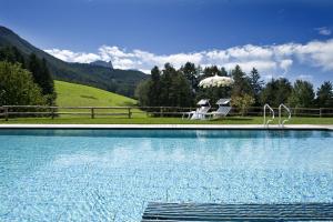 - une piscine avec deux cygnes dans l'eau dans l'établissement Hotel Chalet Tianes - Alpine Relax, à Castelrotto