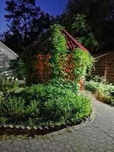 un arbusto con flores rojas al lado de una casa en Hotel Four Crowns, en Dmitrov