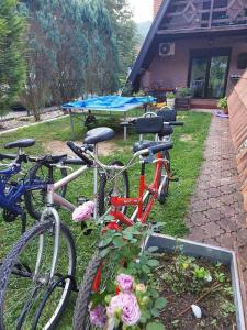 Zahrada ubytování Viola i Detelina Apartments