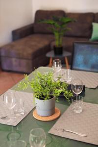 - une table avec des verres à vin et une plante en pot dans l'établissement Villa Mercedes, à Rome