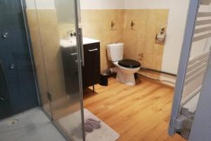 Un baño con inodoro y ducha de cristal. en T2 CARRY LE ROUET CENTRE VILLE PROCHE DE LA MER, en Carry-le-Rouet 8 fotos más