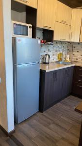 uma cozinha com um frigorífico e uma bancada em Apartment in the center em Jitomir