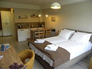 Un dormitorio con una cama y una mesa y una cocina. en Kate Central Apartments, en Ohrid 21 fotos más