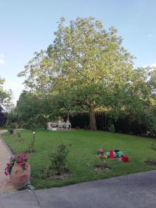 Jardín al aire libre en Montigny House