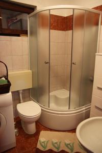 een badkamer met een douche, een toilet en een wastafel bij Apartment Eva in Rakovica
