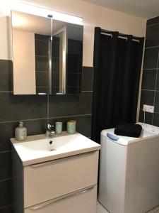 a bathroom with a sink and a mirror and a toilet at Gîte chez Julie et Jp in Neufchâteau