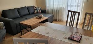 Posezení v ubytování Apartamenty Fala